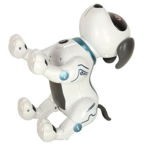 PIES PIESEK INTERAKTYWNY ZDALNIE STEROWANY NA PILOTA RC ROBOT SKACZE ŚPIEWA