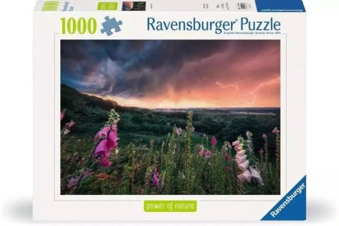 Puzzle 1000 Nadchodzi burza Puzzle 1000 Nadchodzi burza