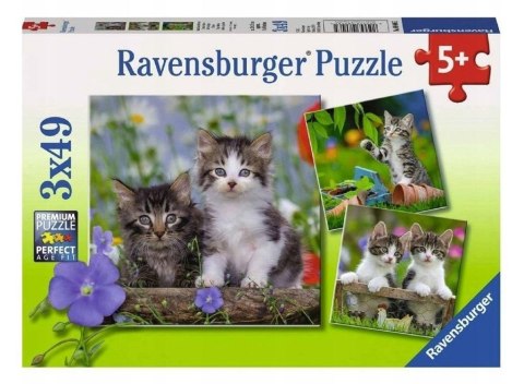 Puzzle 3x49 Kocięta Puzzle 3x49 Kocięta