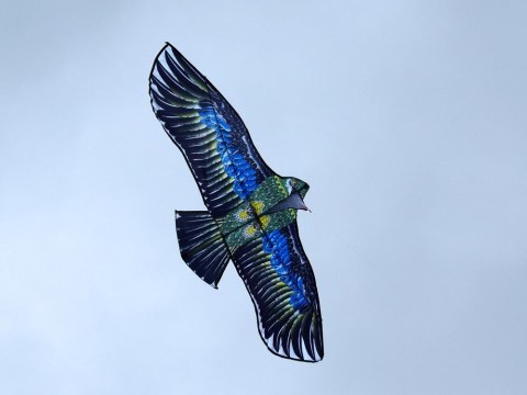 Duży Lekki Latawiec PTAK Orzeł - Realistyczny drapieżny łowczy ptak ZA5572