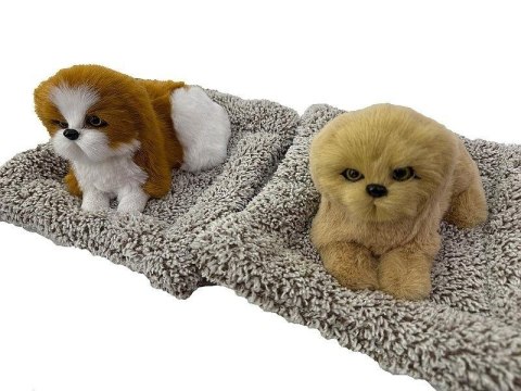 Piesek pluszowy na poduszce z dźwiękiem MIX