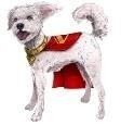 Superman Film: Interaktywny Krypto